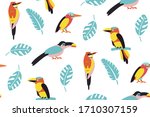 Pattern Of Tropical Birds....