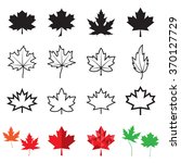 Maple Leaf Icons. Vector...