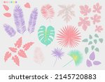 tropical leaves chewing gum... | Shutterstock .eps vector #2145720883