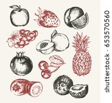 fruits   modern hand drawn... | Shutterstock . vector #653570560