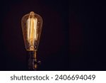 Small photo of Antique Filament Glowing Incandescent Light bulb Tungsten isolated on black background clear glass Edison Bulb
