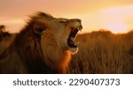 Small photo of Portrait of lion with bushy mane in nature habitat