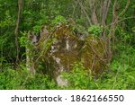 A Large Stone Is Overgrown With ...