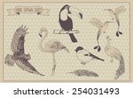 birds vector set. hand drawn... | Shutterstock .eps vector #254031493