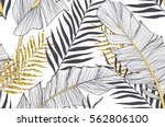 seamless pattern with banana... | Shutterstock .eps vector #562806100