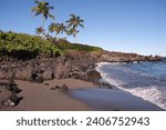Small photo of 49 black sand beach on the island of Hawaii. Waves rolling onto the black sand beach, black volcanic rocks on shore and out in the Pacific Ocean with palm trees along shore in the back ground.