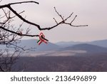 Small photo of Hungarian cockade hanging on trees in nature