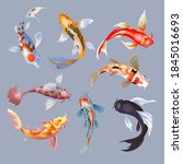 koi fish vector illustration... | Shutterstock .eps vector #1845016693