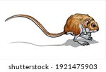 light small jumper. a jerboa  a ... | Shutterstock .eps vector #1921475903