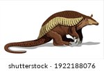 a giant armadillo with thick... | Shutterstock .eps vector #1922188076