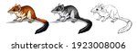 kovari marsupial mouse. cute... | Shutterstock .eps vector #1923008006