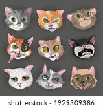 cats heads faces emoticons... | Shutterstock .eps vector #1929309386