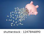 3d rendering of a piggy bank... | Shutterstock . vector #1247846890