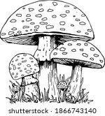 Mushrooms Vintage Sketch Screen ...