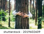 Woman hugged a tree with love in the forest