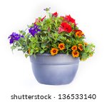 Flower Pot Isolated