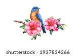 Bluebird And Pink Camellia...