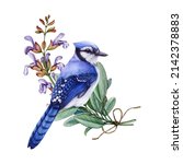Blue Jay Bird With Sage Flowers....
