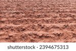 Small photo of A plowed field in autumn. Close-up of plowed land. A close-up of a plowed field.
