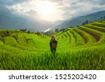 Tribal woman, farmer, with paddy rice terraces, agricultural fields in countryside of Mu Cang Chai, Yen Bai, mountain hills valley in South East Asia, Vietnam. Nature landscape background.