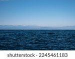 Small photo of View of Suruga Bay and the Akaishi Mountains (Southern Alps) from Nishi-Izu on a clear winter day. Toi, Izu City, Shizuoka Prefecture, Japan.