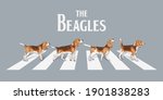 Typography Slogan With Beagle...