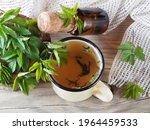 Fresh young leaves of bishop's weed snyt, tincture in a bottle, tea on a wooden background, flat layout. Medicinal plant aegopodium podagraria for use in food, alternative medicine and cosmetology
