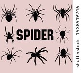 set of black silhouette spider... | Shutterstock .eps vector #1938919246