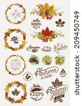 Vector Collection Of Autumn ...