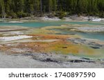 Porcelain Basin, Norris Area landscape in Yellowstone National Park ...