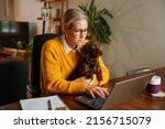Small photo of Caucasian female business woman working from home holding pet dog on her lap