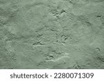 Small photo of Light pale gray green uneven texture. Painted old concrete wall with plaster. Sage green color. Grunge. Rough surface background for design. Empty. Close-up.