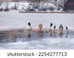 Small photo of Winter swimming. Young couple ready to swim in ice water. Tea after plunge in cold water. Ice cold frozen water swimming. Hat and gloves. People and nature lake in the city. Biohacking routine