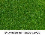 Field of fresh green grass texture as a background, top close up view, horizontal
