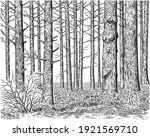 forest landscape. tree trunks.... | Shutterstock .eps vector #1921569710