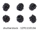 Collection of fresh blackberries. Isolated on white background.