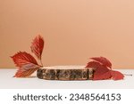 Empty wooden product podium with autumn leaves on brown and white background. Podium for design, cosmetic and product, presentation, fall concept