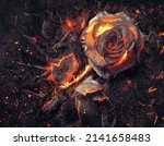 Small photo of The petals of a single roses burns on top of a pile of ashes and embers.