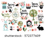 spring set  hand drawn elements ... | Shutterstock .eps vector #572377609