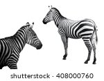 set of zebra image collection... | Shutterstock . vector #408000760