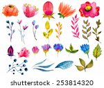 beautiful watercolor flower set ... | Shutterstock .eps vector #253814320