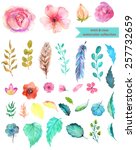 watercolor floral collection ... | Shutterstock .eps vector #257732659