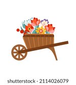 Wooden wheelbarrow with flowers for planting. Vector illustration isolated on white background.