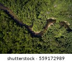 Top View Of Amazon River  Brazil