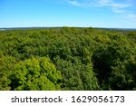 A high view from above a Wisconsin Forest with blue skies and full green summer trees in the wooded area all the way out to the horizon. 