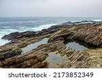 Sheltered Tidal Pools Along The ...