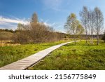 Landscape with a boardwalk - a wooden walkway in the wetlands around the Olsina pond in Sumava, Czech Republic
