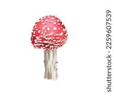 Watercolor Red Fly Agaric....