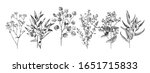 set of hand drawn flowers ... | Shutterstock .eps vector #1651715833