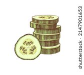 hand drawn sliced cucumber... | Shutterstock .eps vector #2147901653